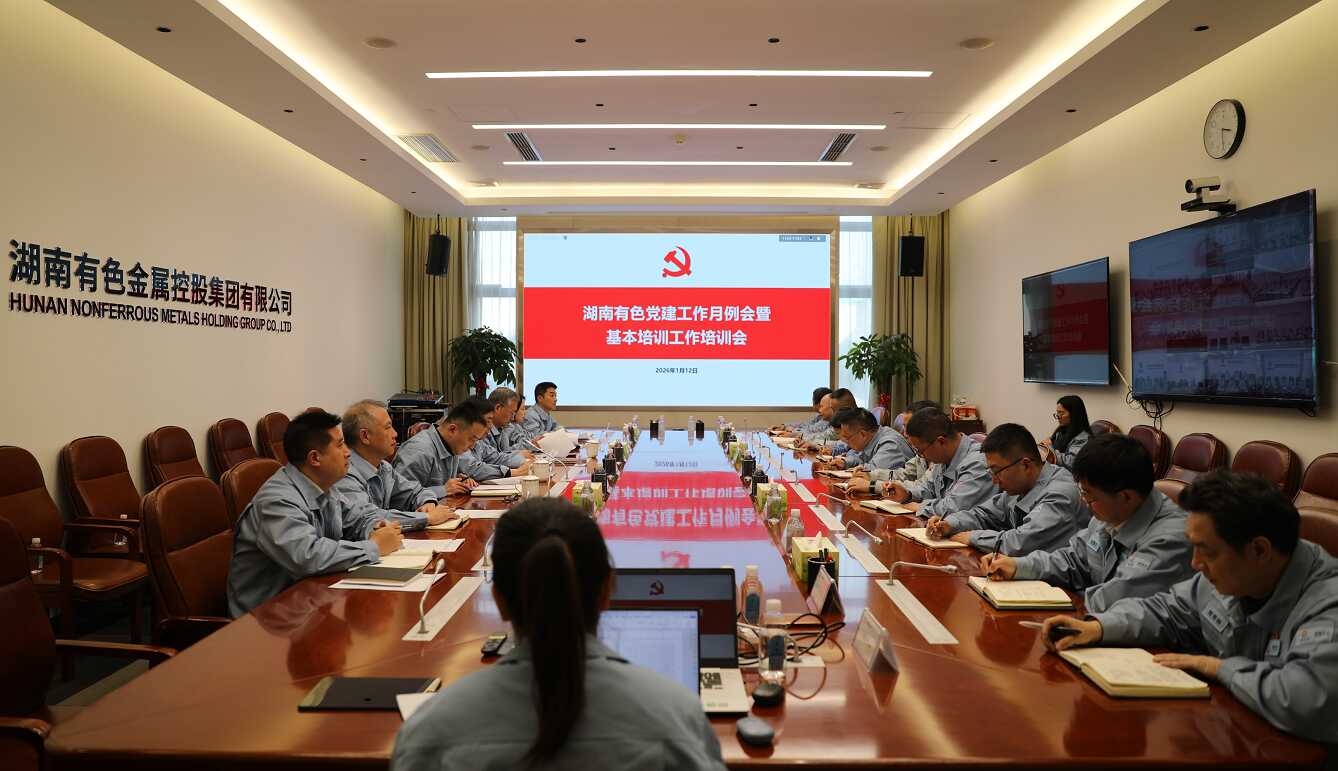 湖南有色召开党建工作月例会暨基...